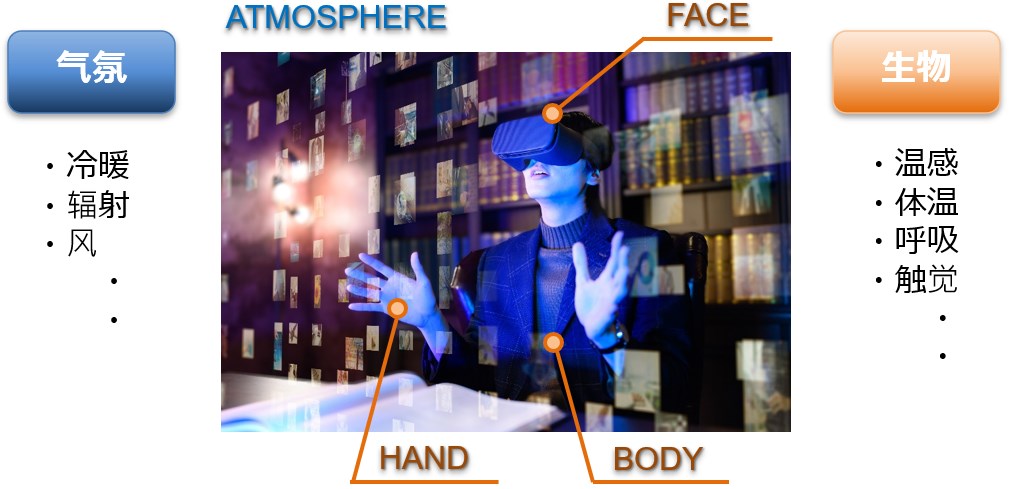 氣氛：冷、暖、輻射、風      生物：溫感、體溫、呼吸、觸覺